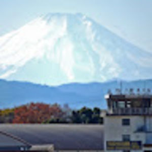 Meet your Posher, Le roy